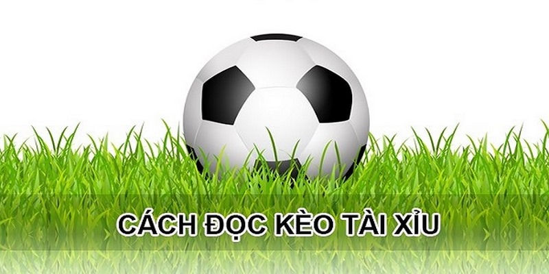 Hướng dẫn đọc kèo cơ bản cho người mới
