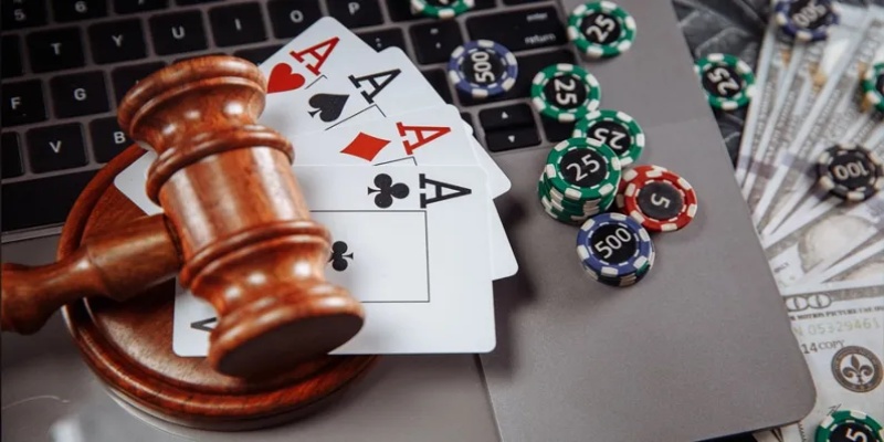 Giới thiệu sơ lược về K9win